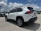 2023 Toyota RAV4 XLE Premium FWD (Natl)