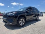 2025 Toyota RAV4 XLE AWD (Natl)
