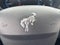 2021 Ford Bronco Sport Big Bend 4x4
