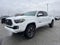 2023 Toyota Tacoma 4WD 4WD SR5 Double Cab 6' Bed V6 AT (Natl)