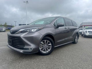 2024 Toyota Sienna XLE FWD 8-Passenger (Natl)