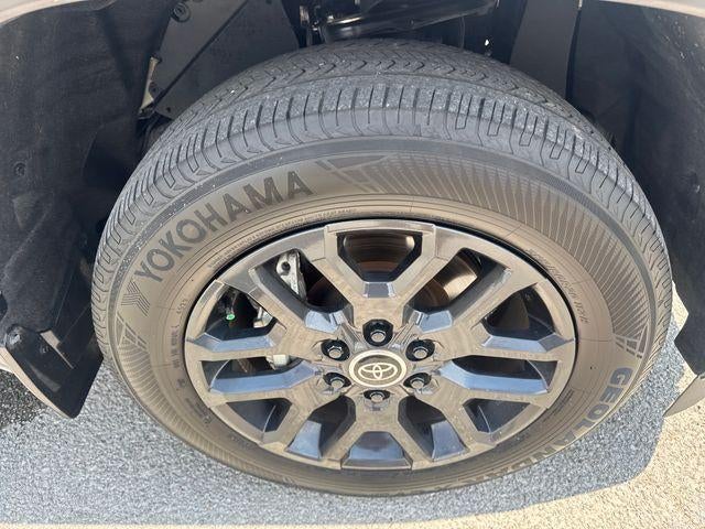 2024 Toyota Sequoia Platinum 4WD (Natl)