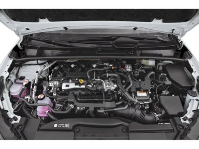 2024 Toyota Prius XLE (Natl)