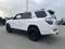 2023 Toyota 4Runner SR5 Premium 4WD (Natl)
