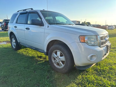 2010 Ford Escape XLT